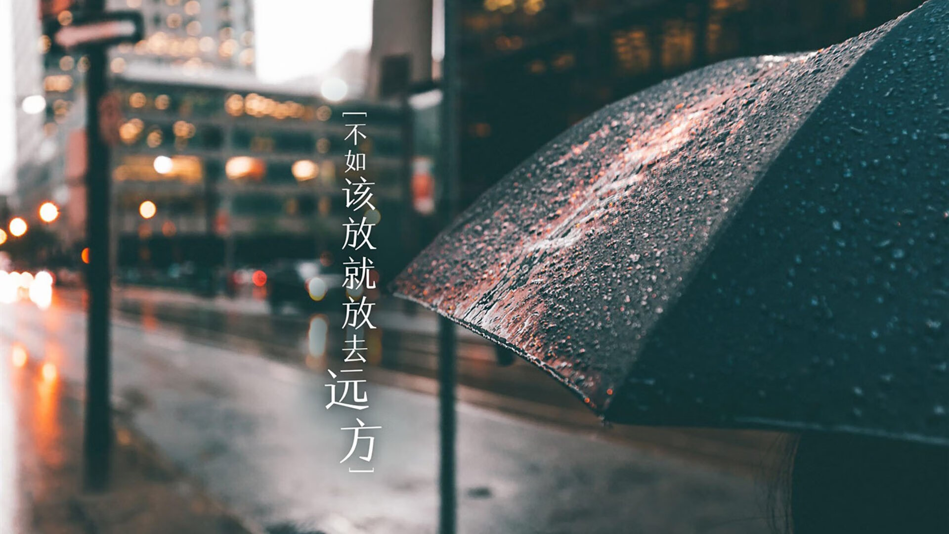 塞内加尔男足在巴黎奥运会上表现出色，赢得奖牌，塞内加尔 男足