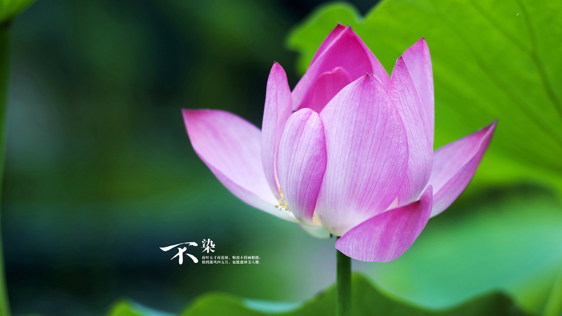 曾经的冠军如今的教练，传帮带推动台球发展