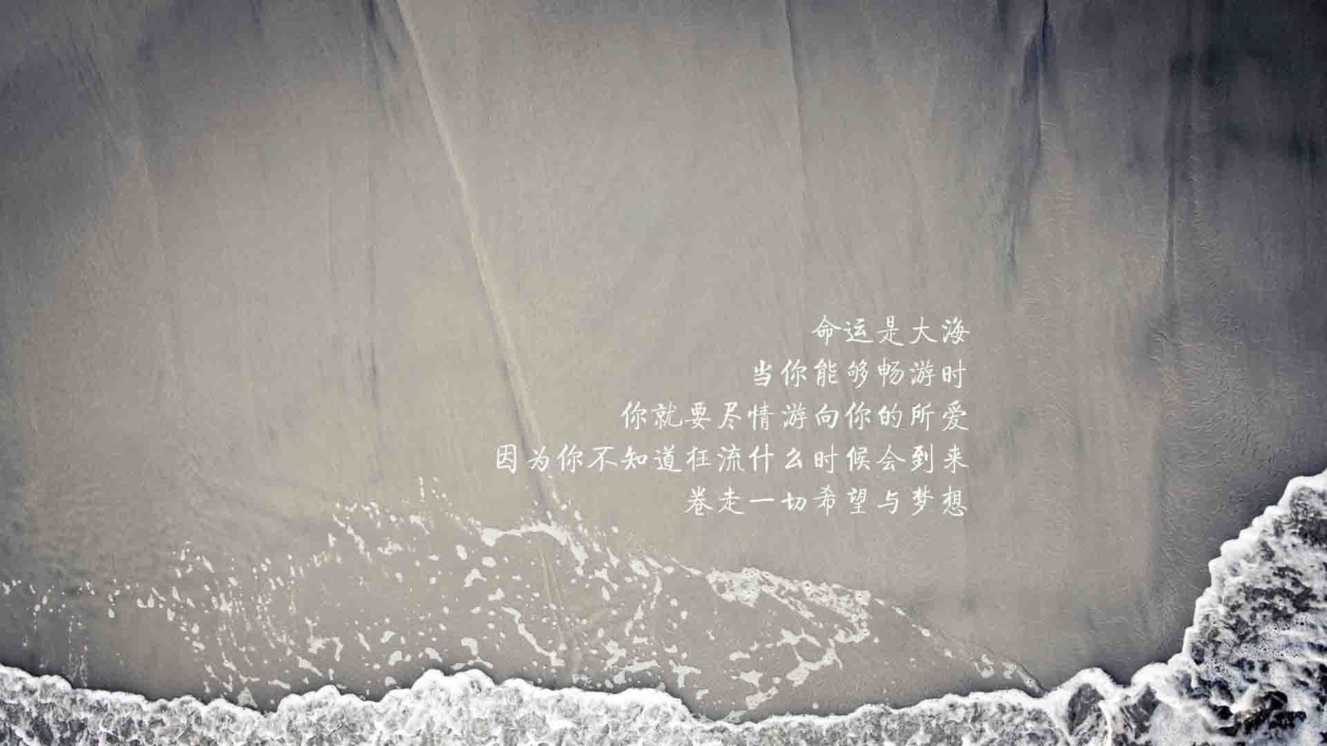 中超联赛吸引更多国际知名球员，中超联赛球员名单