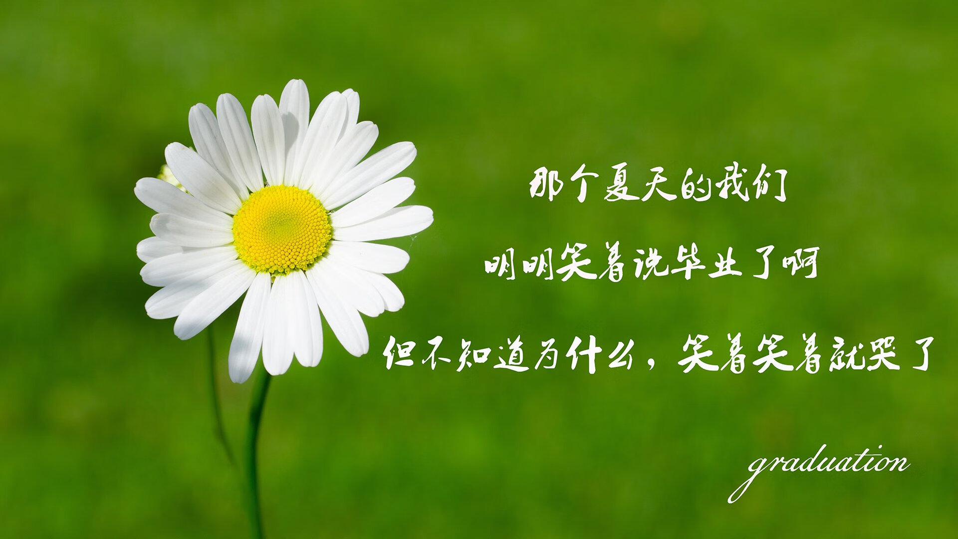 墨西哥马术协会引入智能马鞍系统，实现实时数据监测与分析，提升骑乘体验。