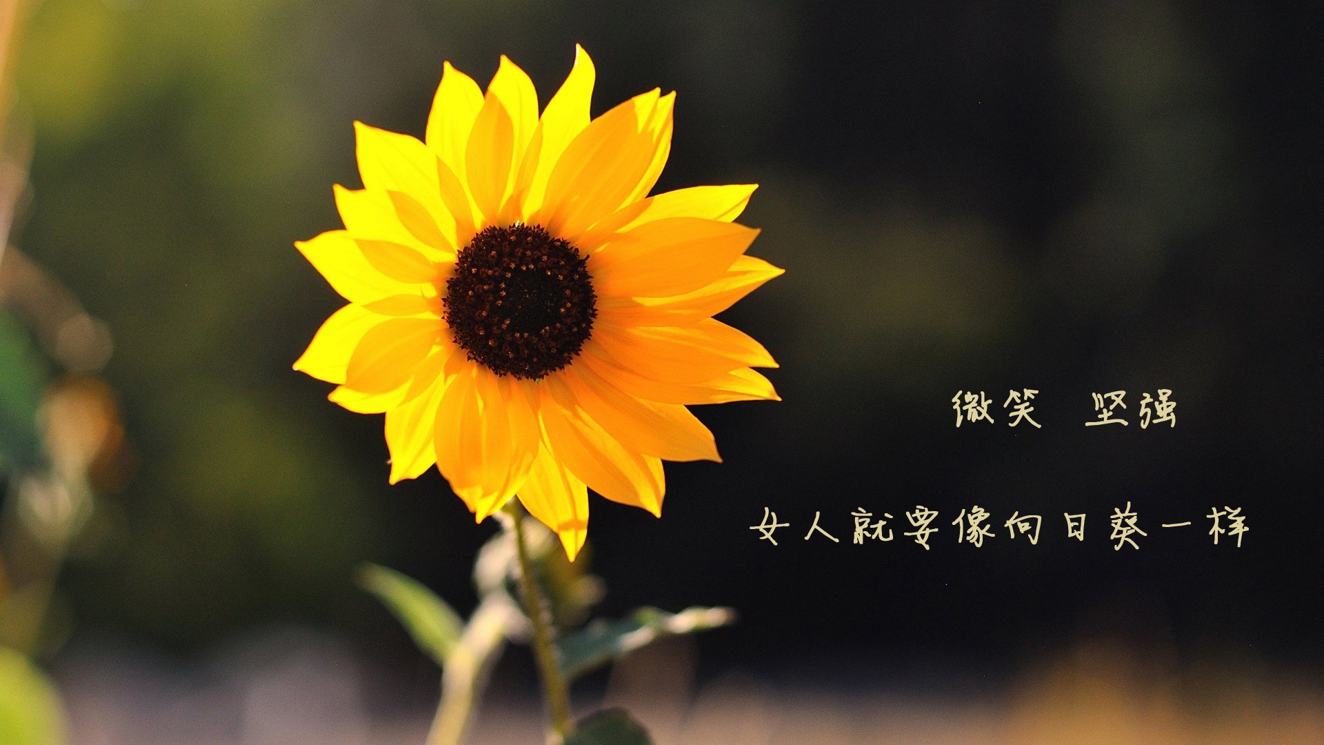 莱加内斯大胜卡尔马丹，士气飙升，莱加内斯vs巴列卡诺