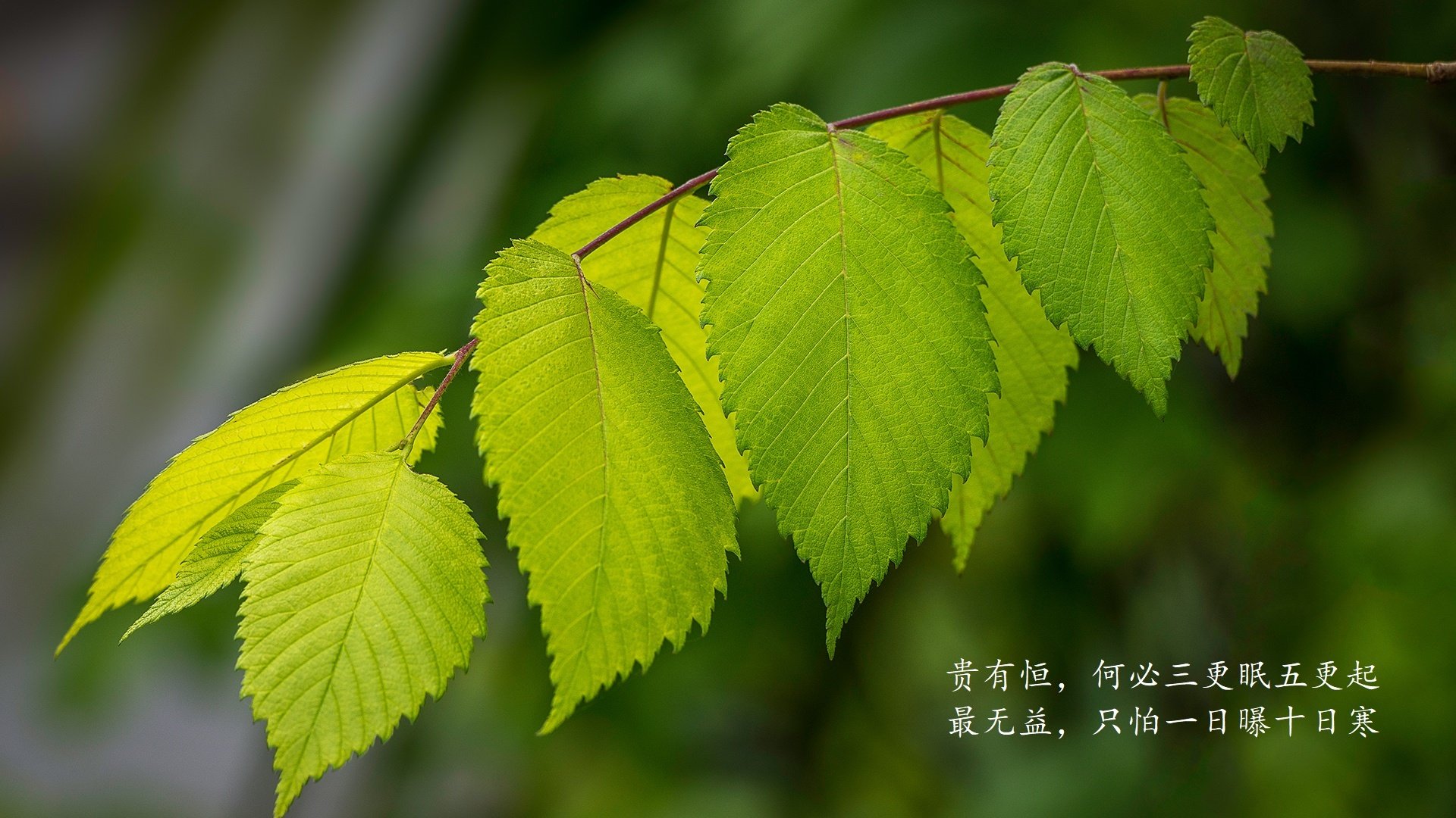 体育医疗干预机制入驻省级训练中心，体育医疗融合 全民健康
