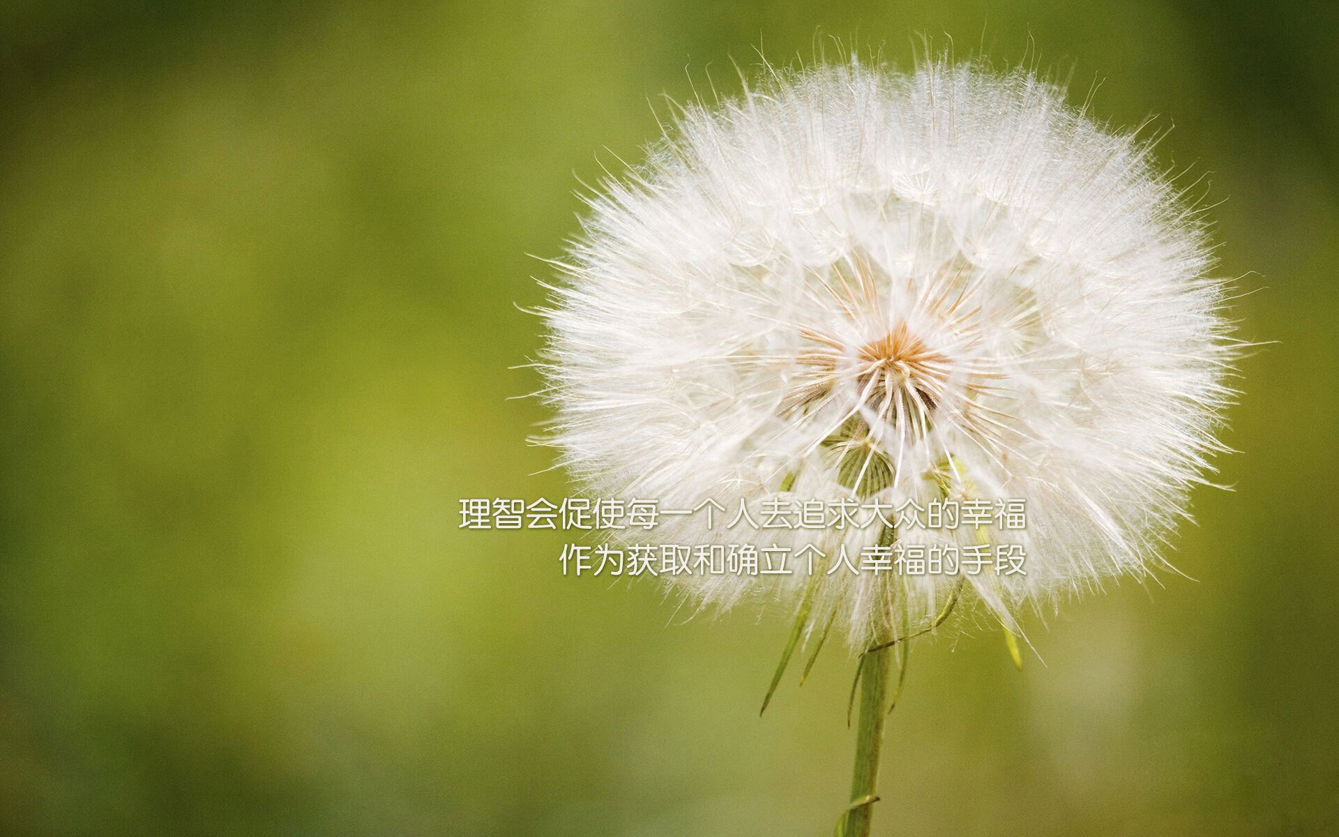 西班牙男篮在欧洲锦标赛中表现出色，夺冠再创历史新高，西班牙男篮最好成绩